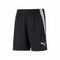 Puma teamLIGA Training Shorts Jr