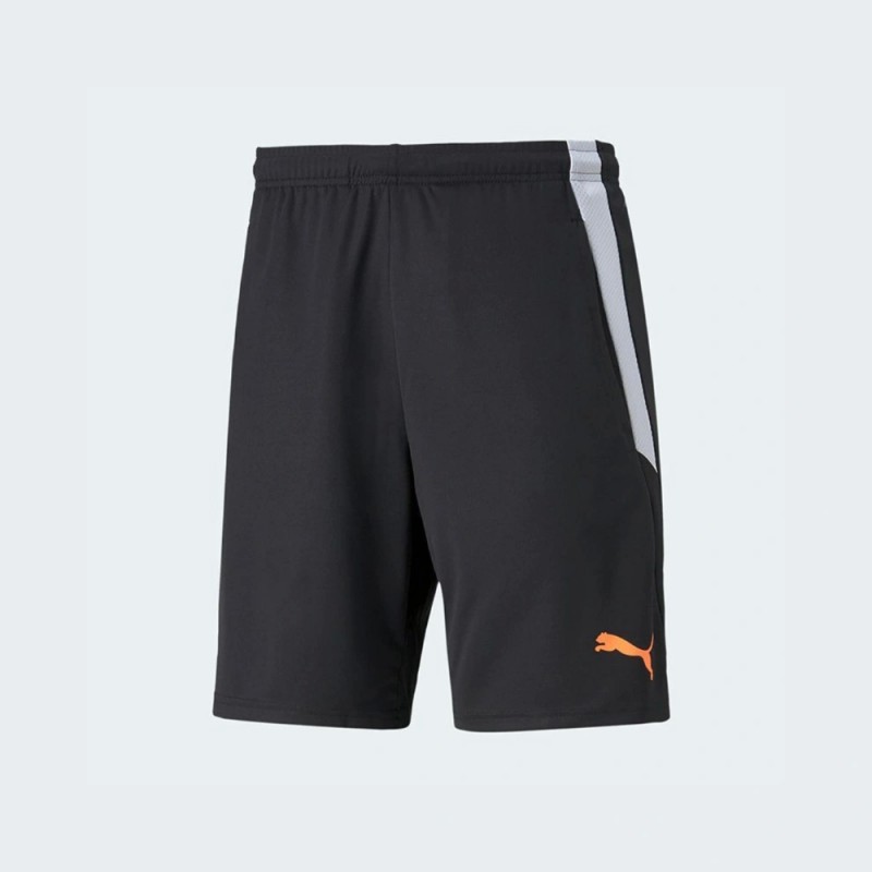 Puma TeamLiga Training Shorts