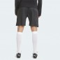 Puma TeamLiga Training Shorts