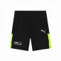 Puma Active Sports Woven Shorts