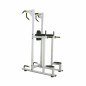 Vertical Knee Raise / Chin Dip Machine Workout
