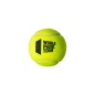 Head Padel Pro S - 3 Ball - Single Can