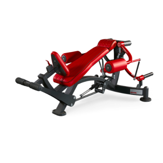 PANATTA Inclined Flight Machine