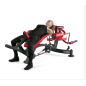 PANATTA Inclined Flight Machine