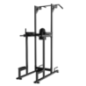 Vertical Knee Raise / Chin Dip Machine Workout