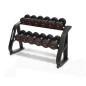 SALTER Dumbbell Rack