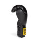 EVERLAST CLASSIC 1910 TRAINING GLOVES 12oz