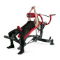PANATTA INCLINED FLIGHT MACHINE