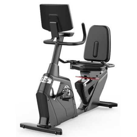 RECUMBENT BIKE R11-V5