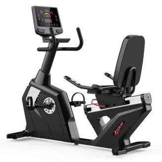 RECUMBENT BIKE R11-V4
