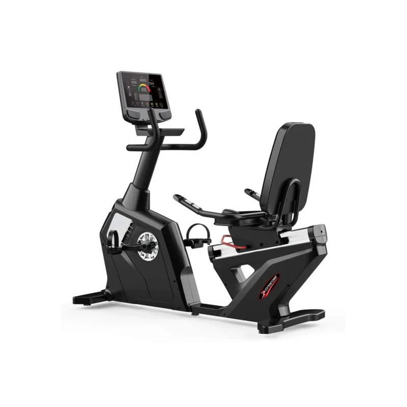 RECUMBENT BIKE R11-V4