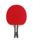 DUNLOP TABLE TENNIS BT FLUX