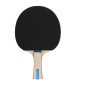 DUNLOP TABLE TENNIS BT RAGE