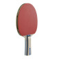 DUNLOP TABLE TENNIS BT RAGE