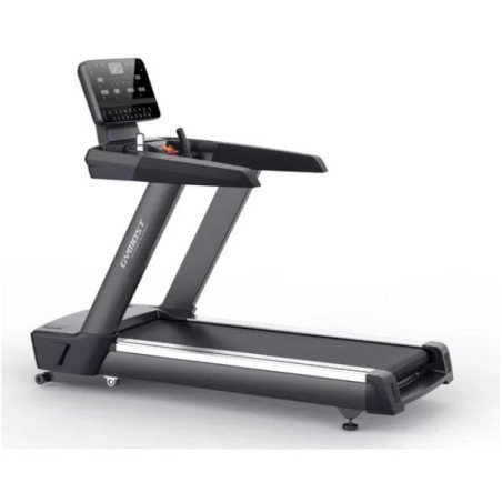 COMMERCIAL TREADMILL 5556EA