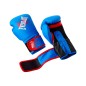 Everlast Prospect Youth Boxing Kit